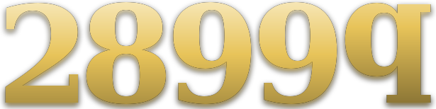 2899q logo
